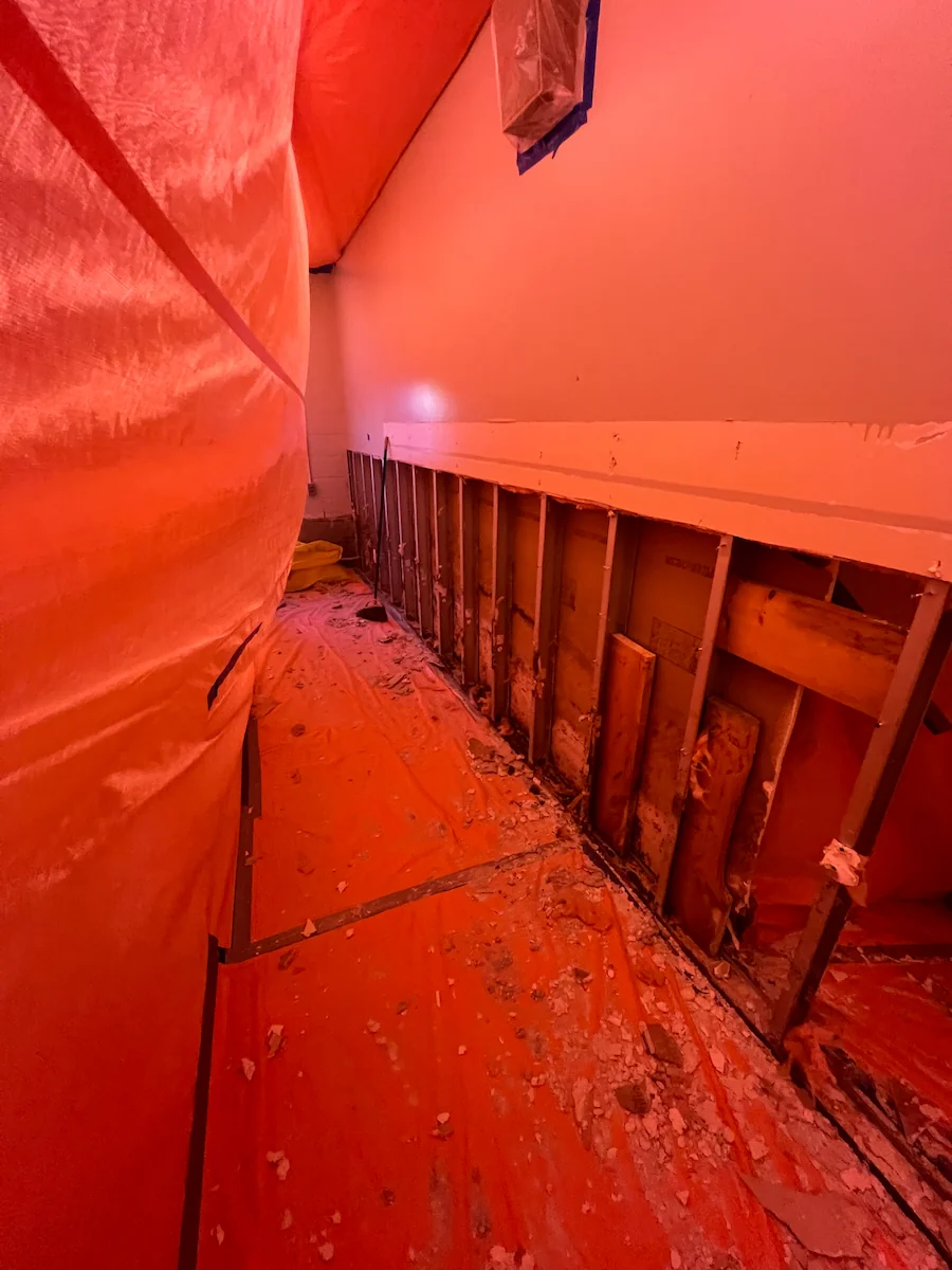 Mold Removal and Remediation